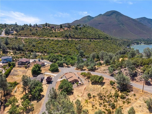 9802 Sequoia Rd, Kelseyville, CA 95451 - photo 52