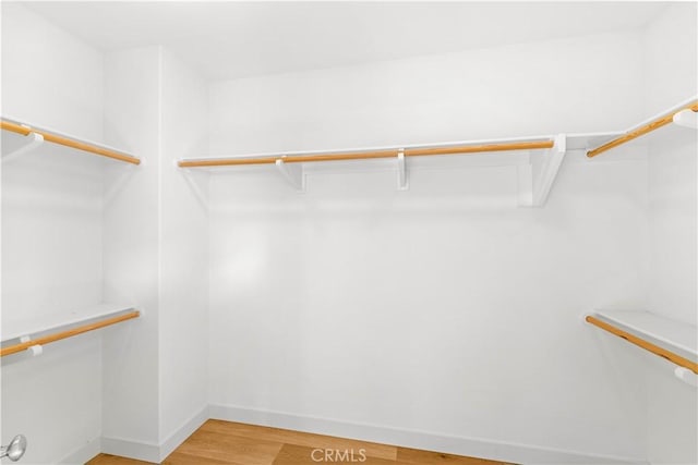 112 Velvet Leaf, Irvine, CA 92620 - walk in closet featuring light wood-style flooring