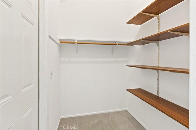 560 N Brea Blvd Unit 24, Brea, CA 92821 - walk in closet featuring light carpet