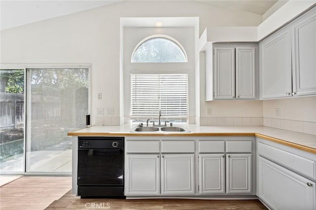 1422 Deborah Pl, Beaumont, CA 92223 - kitchen featuring vaulted ceiling, healthy amount of natural light, light countertops, and wood finished floors