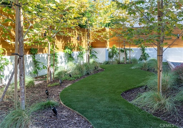 1567 Hi Point St, Los Angeles, CA 90035 - view of yard