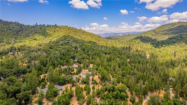 53235 Finegold Creek Ct, North Fork, CA 93643 - view of mountain background featuring a forest