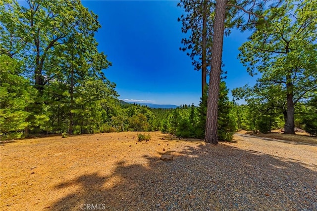 53235 Finegold Creek Ct, North Fork, CA 93643 - view of yard featuring a wooded view