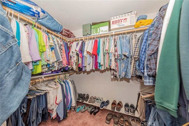 53235 Finegold Creek Ct, North Fork, CA 93643 - spacious closet with carpet