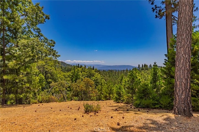 53235 Finegold Creek Ct, North Fork, CA 93643 - mountain view with a heavily wooded area