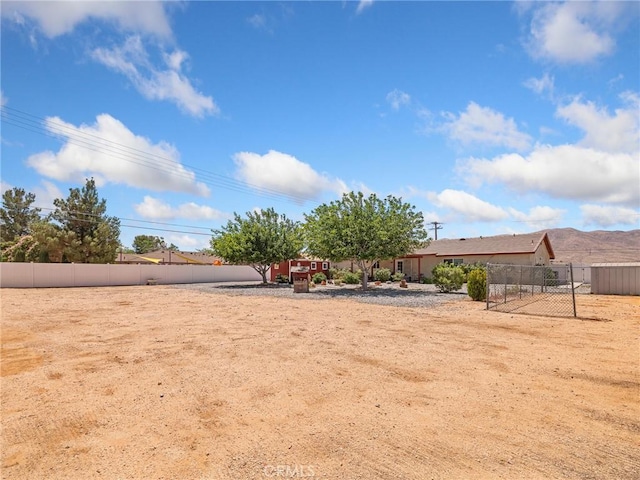21756 Tussing Ranch Rd, Apple Valley, CA 92308 - view of yard
