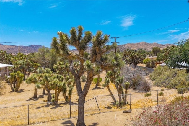 57007 Navajo Trl, Yucca Valley, CA 92284 - photo 33