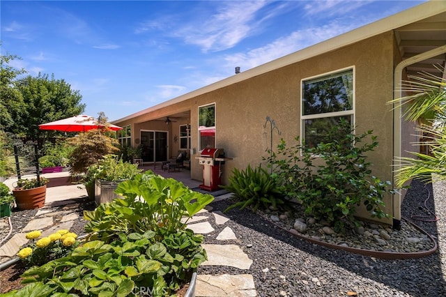 10 Harmony Park Cir, Chico, CA 95973 - back of property featuring stucco siding, a patio, and ceiling fan