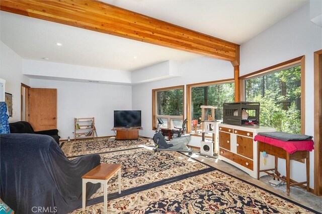 7134 Snyder Ridge Rd, Mariposa, CA 95338 - photo 39