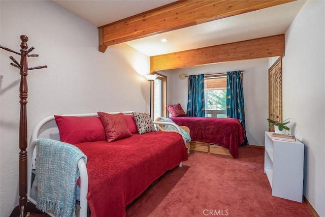 7134 Snyder Ridge Rd, Mariposa, CA 95338 - photo 36