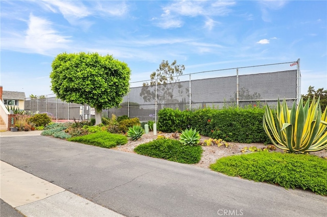 33586 Via Corvalian Unit 23, Dana Point, CA 92629 - view of yard