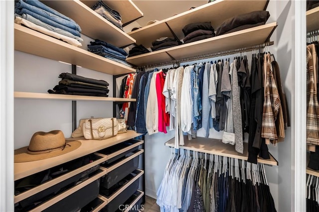111 Juniper Dr, Rancho Mission Viejo, CA 92694 - view of spacious closet