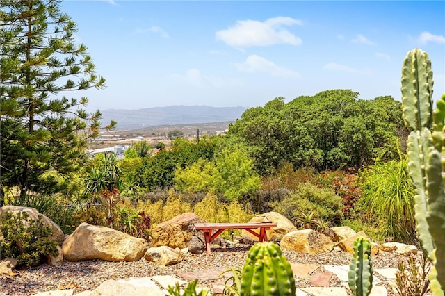 447 Ali Way, Fallbrook, CA 92028 - photo 29