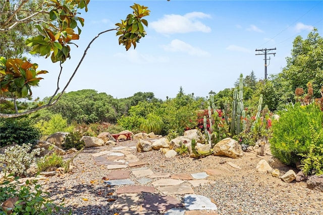 447 Ali Way, Fallbrook, CA 92028 - photo 28