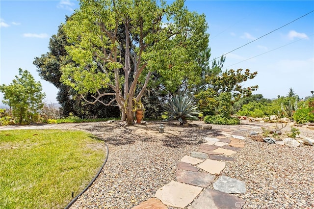 447 Ali Way, Fallbrook, CA 92028 - photo 26