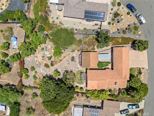 447 Ali Way, Fallbrook, CA 92028 - photo 40