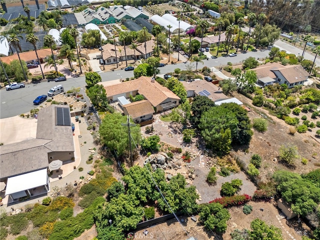 447 Ali Way, Fallbrook, CA 92028 - photo 41