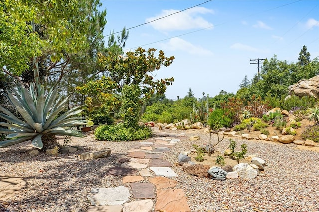 447 Ali Way, Fallbrook, CA 92028 - photo 27