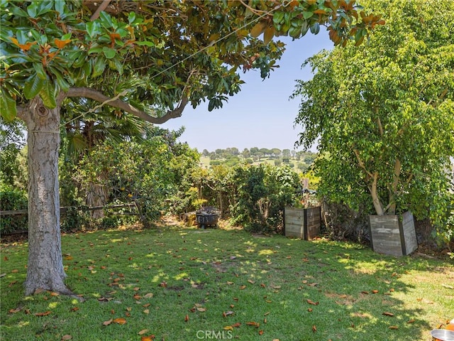 2049 Avenida Aprenda, Rancho Palos Verdes, CA 90275 - view of grassy yard