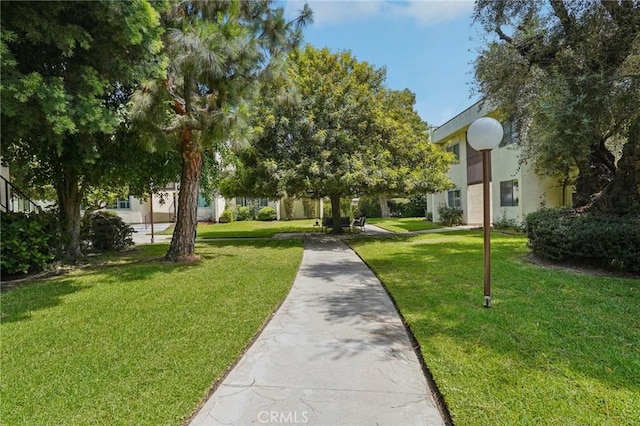11813 Runnymede St Unit 27, North Hollywood, CA 91605 - photo 18