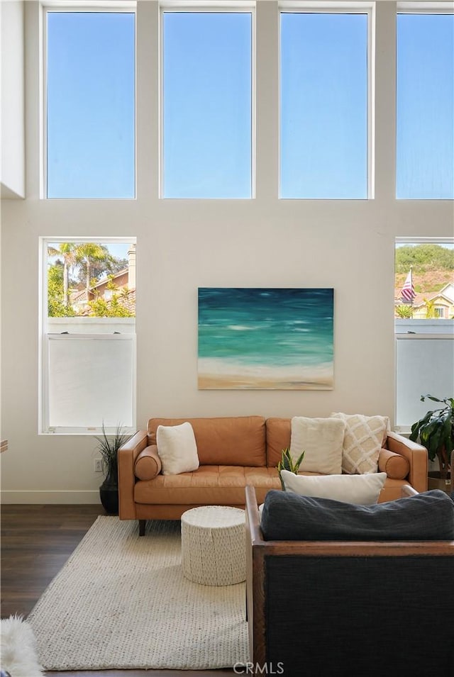 705 El Berro, San Clemente, CA 92672 - living room featuring wood finished floors, plenty of natural light, and a high ceiling
