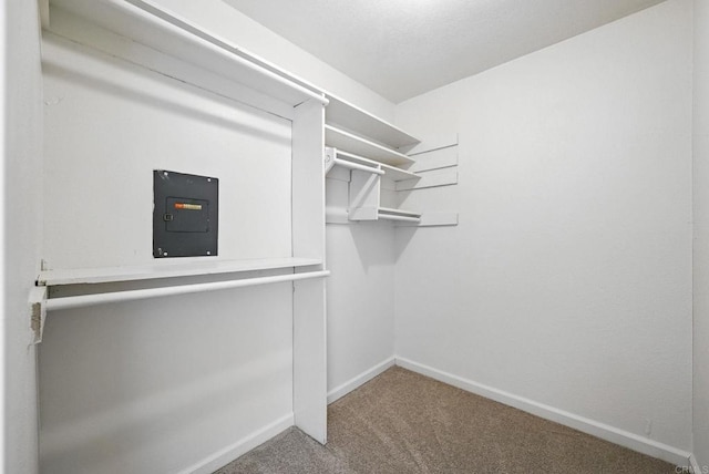 575 Otay Lakes Rd Unit 26, Chula Vista, CA 91913 - walk in closet featuring carpet