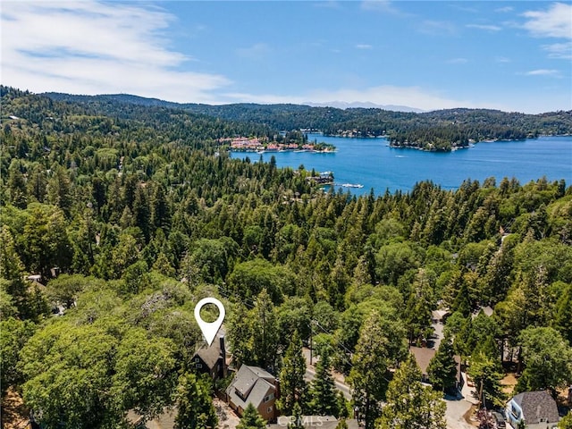 143 State Highway 173, Lake Arrowhead, CA 92352 - bird's eye view of a forest and a water and mountain view