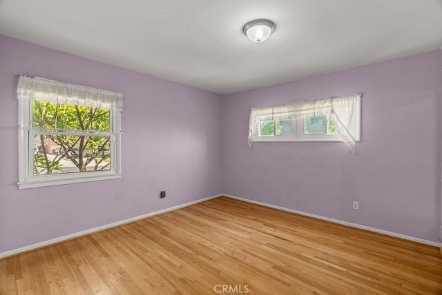 8159 Strub Ave, Whittier, CA 90602 - photo 23