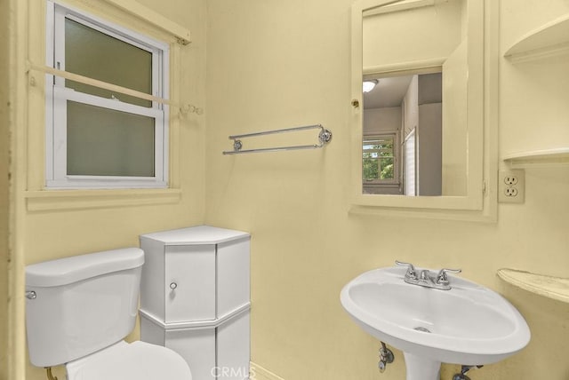 8159 Strub Ave, Whittier, CA 90602 - photo 42