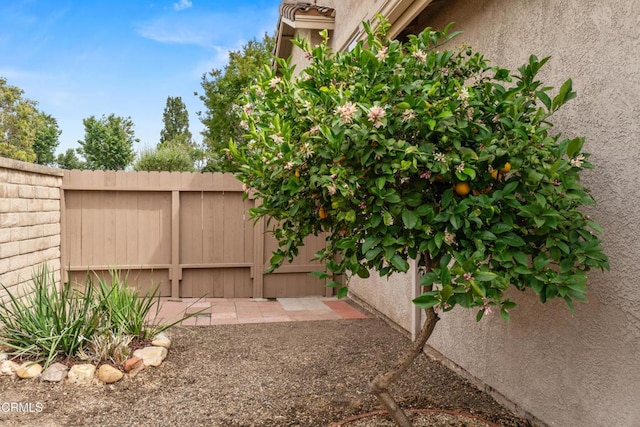 5202 Paseo Ricoso, Camarillo, CA 93012 - photo 39