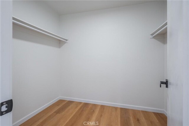 8939 Gallatin Rd Unit 68, Pico Rivera, CA 90660 - walk in closet with light wood-style floors