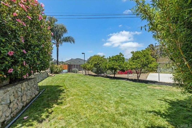 25171 Jesmond Dene Rd, Escondido, CA 92026 - view of yard