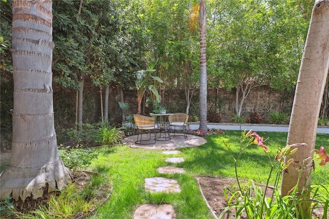 6137 Rustling Oaks Dr, Agoura Hills, CA 91301 - view of green lawn featuring a patio