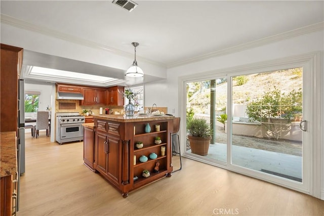 22550 Flamingo St, Woodland Hills, CA 91364 - kitchen featuring stainless steel appliances, ventilation hood, light wood finished floors, ornamental molding, and healthy amount of natural light