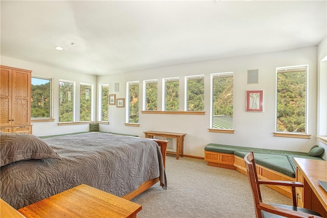 4570 Christine Loomis Dr, Arroyo Grande, CA 93420 - bedroom with light colored carpet and baseboards