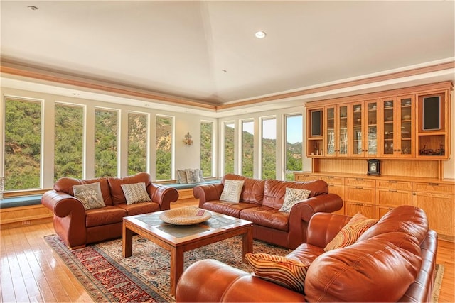 4570 Christine Loomis Dr, Arroyo Grande, CA 93420 - living room featuring light wood-style flooring, high vaulted ceiling, and recessed lighting
