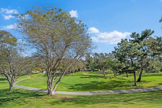 1247 La Casa Dr, San Marcos, CA 92078 - view of home's community with a lawn