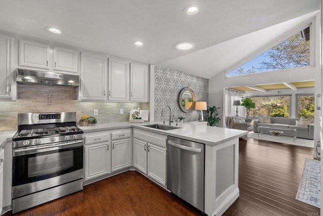 1247 La Casa Dr, San Marcos, CA 92078 - kitchen featuring stainless steel appliances, under cabinet range hood, a peninsula, light countertops, and lofted ceiling
