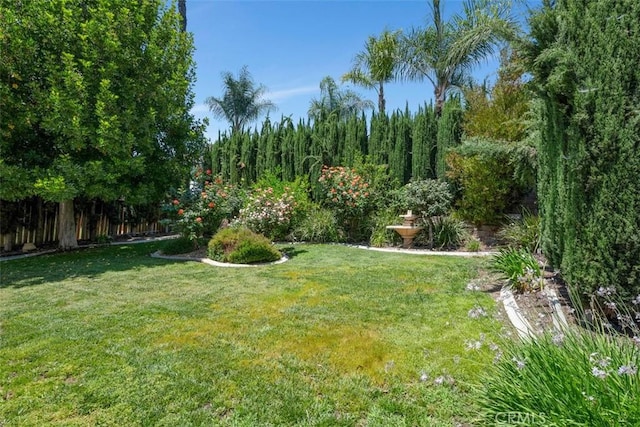 25134 Calle Viejo, Murrieta, CA 92563 - view of yard