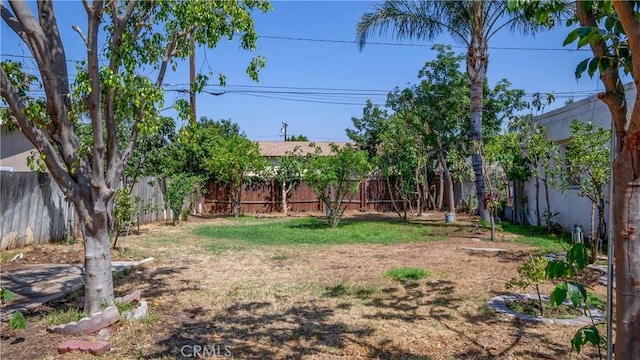 815 N Hagar St, San Fernando, CA 91340 - view of fenced backyard