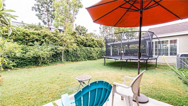 937 Dahlia Ave, Costa Mesa, CA 92626 - view of grassy yard featuring a trampoline