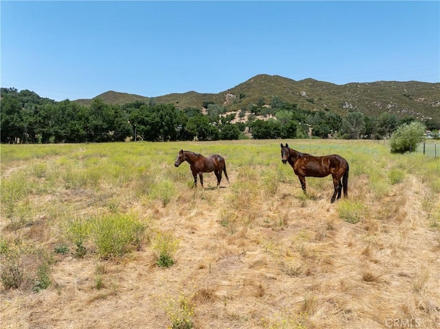 4755 Las Pilitas Rd, Santa Margarita, CA 93453 - photo 28