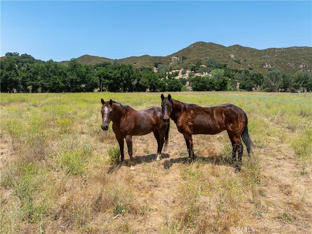 4755 Las Pilitas Rd, Santa Margarita, CA 93453 - photo 29