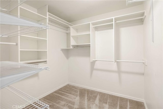 18836 Cedar Valley Way, Newhall, CA 91321 - spacious closet with carpet flooring