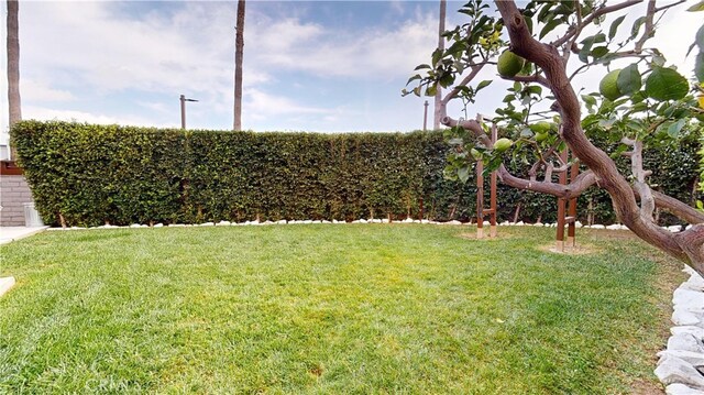 641 W 127th St, Los Angeles, CA 90044 - photo 51