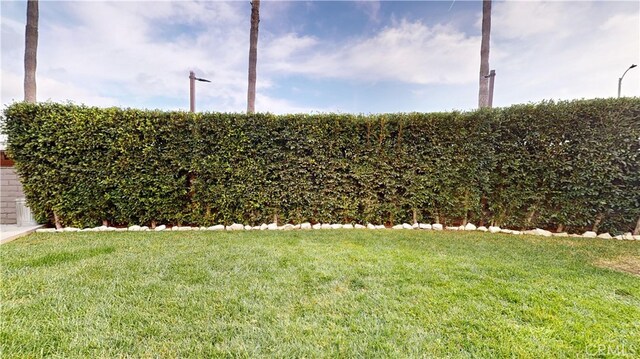 641 W 127th St, Los Angeles, CA 90044 - photo 53