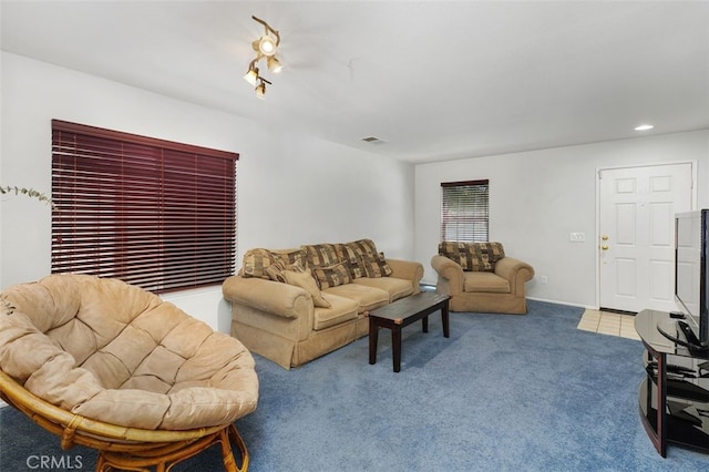 23050 Catt Rd, Wildomar, CA 92595 - living area with carpet and recessed lighting