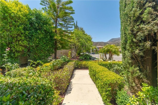 1408 Fanning Cir, Corona, CA 92882 - photo 70