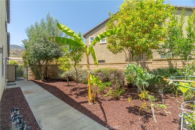 1408 Fanning Cir, Corona, CA 92882 - photo 47