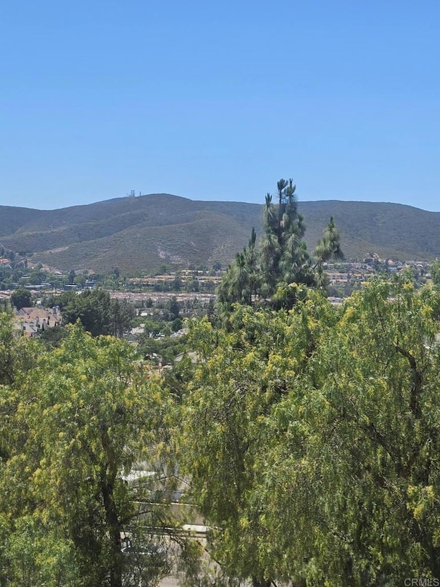 13756 Fontanelle Pl, San Diego, CA 92128 - view of mountain background
